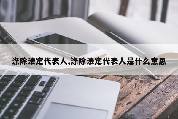 涤除法定代表人,涤除法定代表人是什么意思